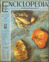 Enciclopedia Estudiantil Ano 1 No. 45 - 13, Mar. 1962